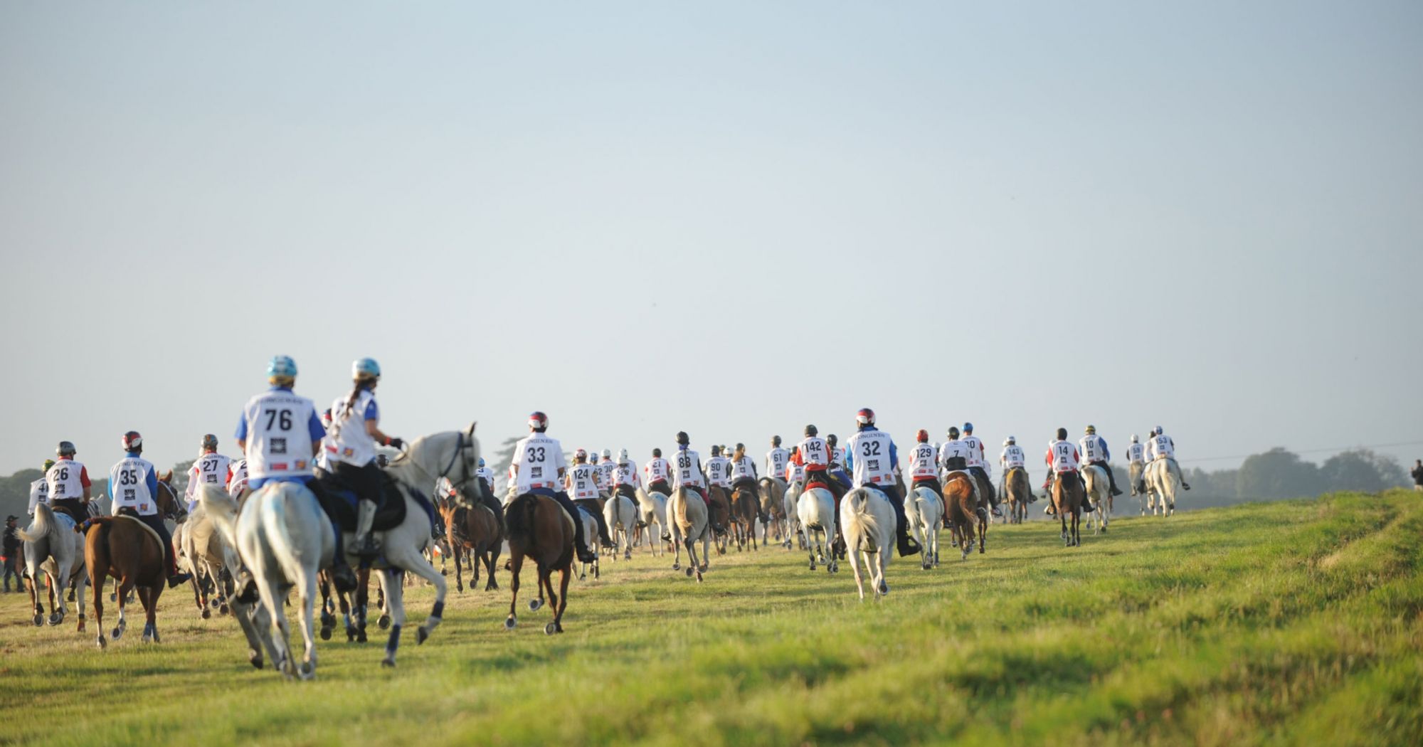 A large field of endurance riders travelling together across open country